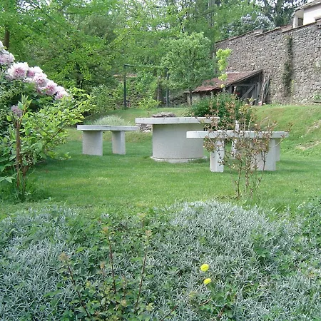 Bogoly Tokaj