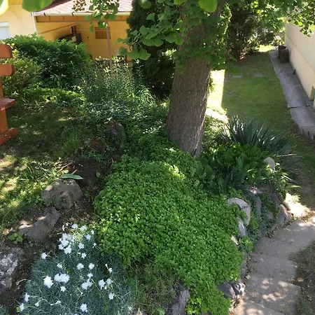 Bogoly Apartment Tokaj